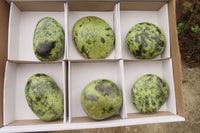 Polished Leopard Stone Galet / Palm Stones x 6 From Zimbabwe - Toprock Gemstones and Minerals 