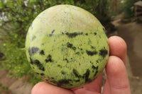 Polished Leopard Stone Galet / Palm Stones x 6 From Zimbabwe - Toprock Gemstones and Minerals 