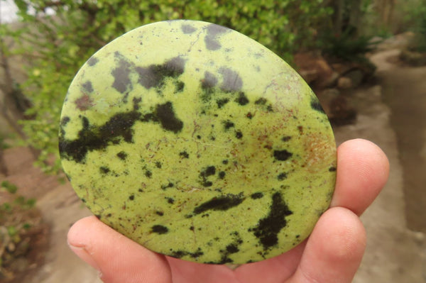 Polished Leopard Stone Galet / Palm Stones x 6 From Zimbabwe - Toprock Gemstones and Minerals 