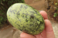Polished Leopard Stone Galet / Palm Stones x 6 From Zimbabwe - Toprock Gemstones and Minerals 
