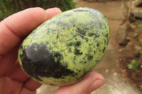 Polished Leopard Stone Galet / Palm Stones x 6 From Zimbabwe - Toprock Gemstones and Minerals 