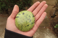 Polished Leopard Stone Galet / Palm Stones x 6 From Zimbabwe - Toprock Gemstones and Minerals 