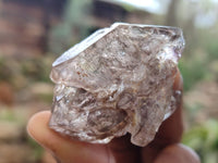 Natural Smokey Chiredzi Amethyst Crystals & Double Terminated Scepters x 12 From Chiredzi, Zimbabwe - Toprock Gemstones and Minerals 