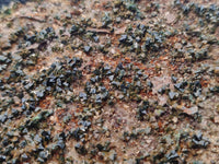 Natural Libethenite Crystals On Dolomite Matrix Specimens x 3 From Shituru, Congo