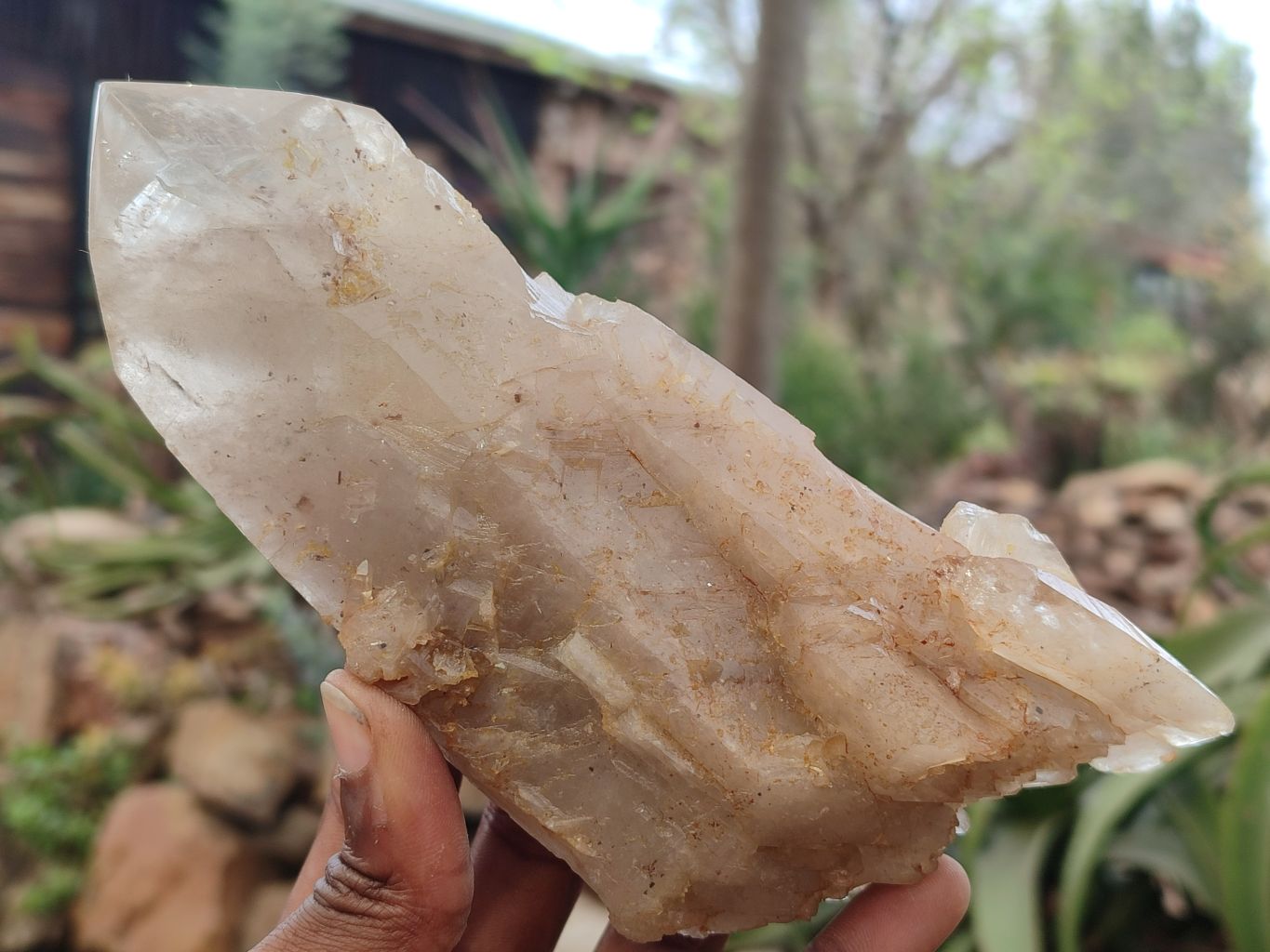 Polished Arcadian Quartz Crystals x 4 From Angola - Toprock Gemstones and Minerals 