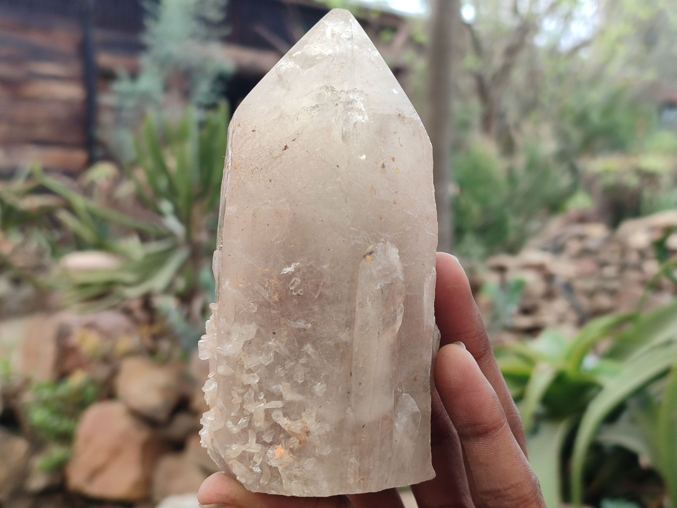 Polished Arcadian Quartz Crystals x 4 From Angola - Toprock Gemstones and Minerals 