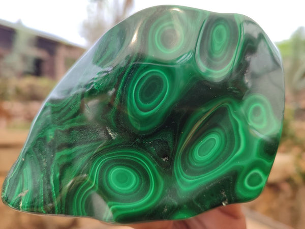 Polished Malachite Free Forms x 3 From Congo - Toprock Gemstones and Minerals 