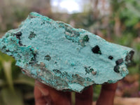 Natural Chrysocolla With Malachite Dolomite Specimens x 3 From Congo - Toprock Gemstones and Minerals 