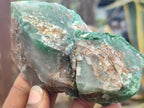 Natural Green Jade Cobbed Specimens x 12 From Swaziland - Toprock Gemstones and Minerals 