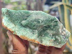 Natural Green Jade Cobbed Specimens x 12 From Swaziland - Toprock Gemstones and Minerals 