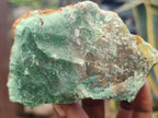 Natural Green Jade Cobbed Specimens x 12 From Swaziland - Toprock Gemstones and Minerals 