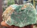 Natural Green Jade Cobbed Specimens x 12 From Swaziland - Toprock Gemstones and Minerals 