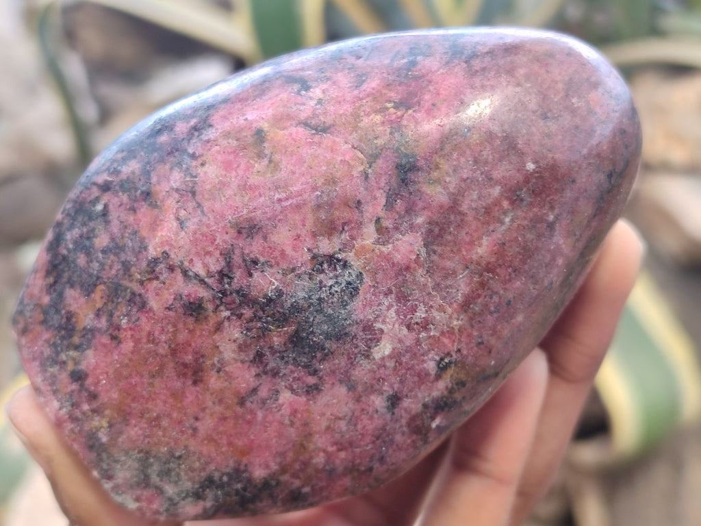 Polished Rhodonite Free Forms x 8 From Zimbabwe - Toprock Gemstones and Minerals 
