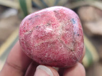 Polished Rhodonite Free Forms x 8 From Zimbabwe - Toprock Gemstones and Minerals 