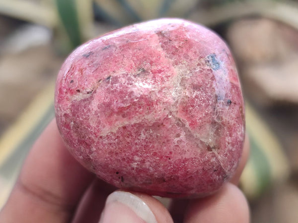 Polished Rhodonite Free Forms x 8 From Zimbabwe - Toprock Gemstones and Minerals 