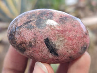 Polished Rhodonite Free Forms x 8 From Zimbabwe - Toprock Gemstones and Minerals 