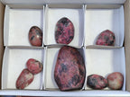 Polished Rhodonite Free Forms x 8 From Zimbabwe - Toprock Gemstones and Minerals 
