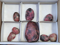 Polished Rhodonite Free Forms x 8 From Zimbabwe - Toprock Gemstones and Minerals 