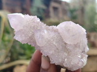 Natural Amethyst / Ametrine Spirit Quartz Clusters x 12 From South Africa