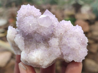 Natural Amethyst / Ametrine Spirit Quartz Clusters x 12 From South Africa