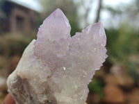 Natural Amethyst / Ametrine Spirit Quartz Clusters x 12 From South Africa