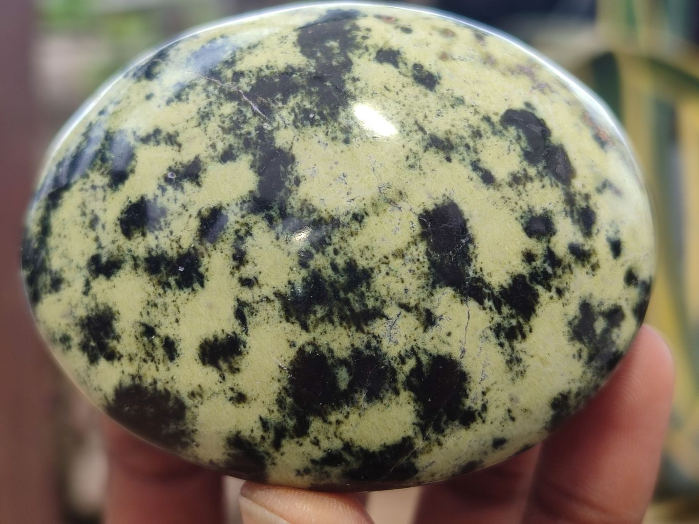 Polished Leopard Stone Galet / Palm Stones x 12 From Zimbabwe - Toprock Gemstones and Minerals 