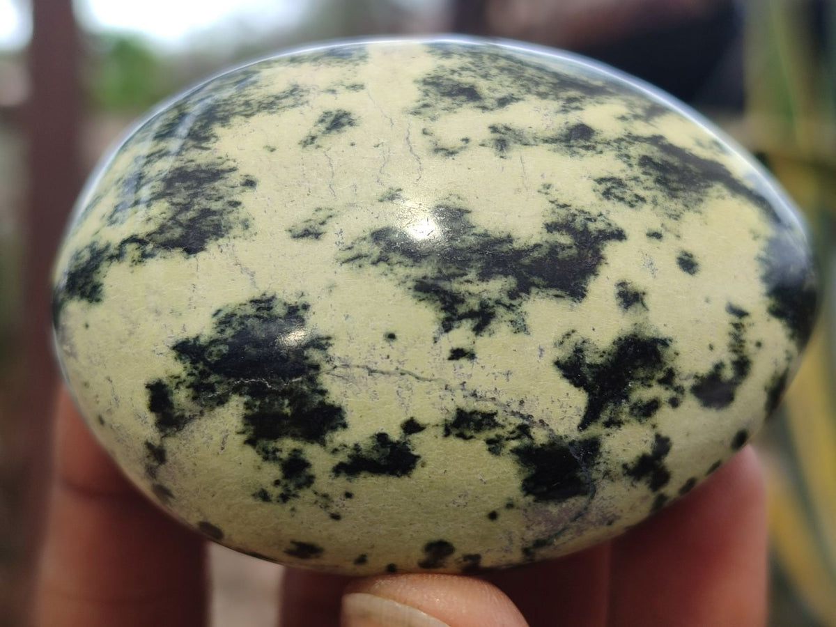 Polished Leopard Stone Galet / Palm Stones x 12 From Zimbabwe - Toprock Gemstones and Minerals 