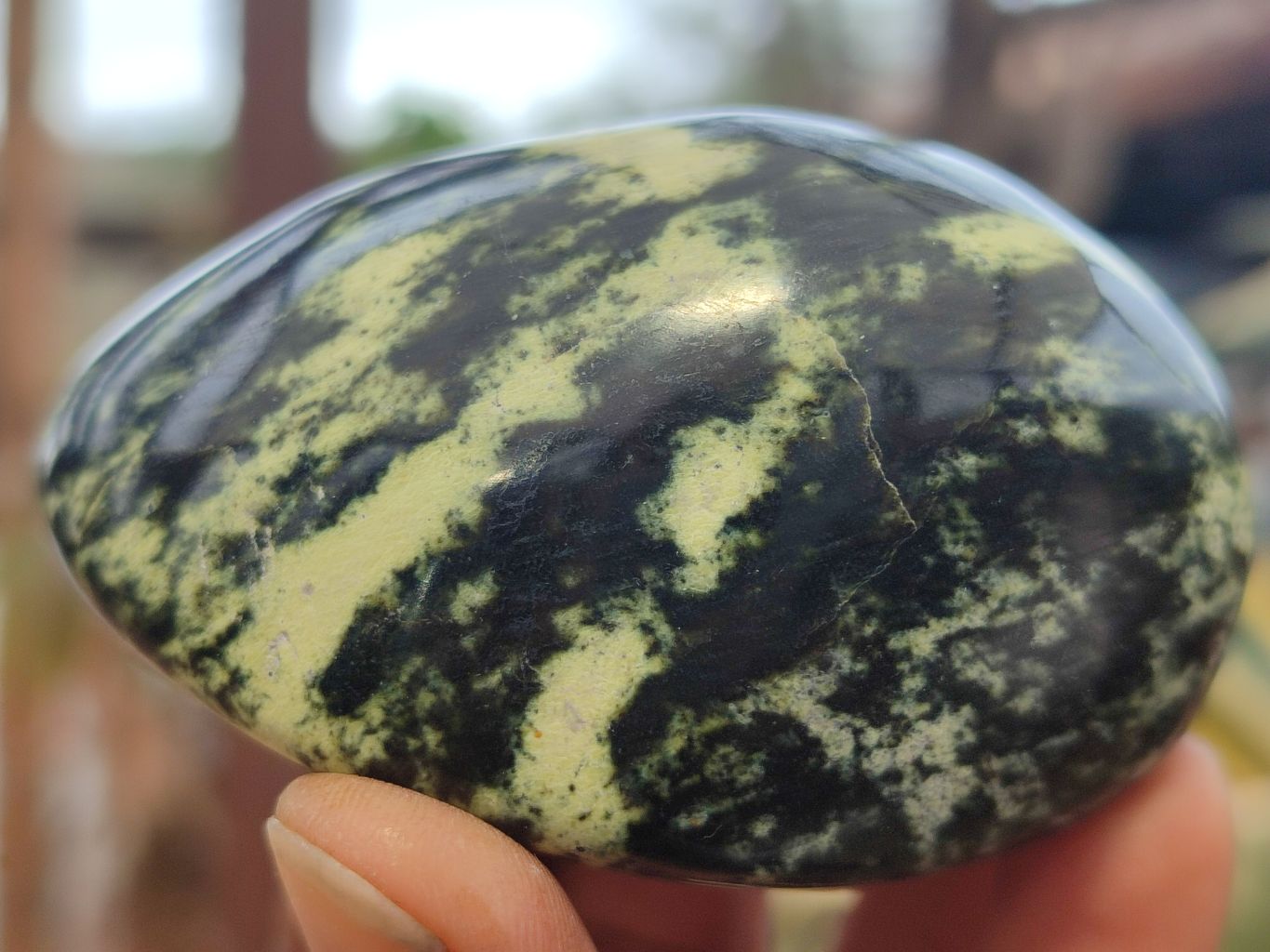 Polished Leopard Stone Galet / Palm Stones x 12 From Zimbabwe - Toprock Gemstones and Minerals 