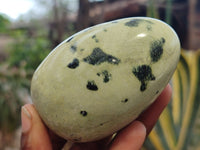 Polished Leopard Stone Galet / Palm Stones x 12 From Zimbabwe - Toprock Gemstones and Minerals 