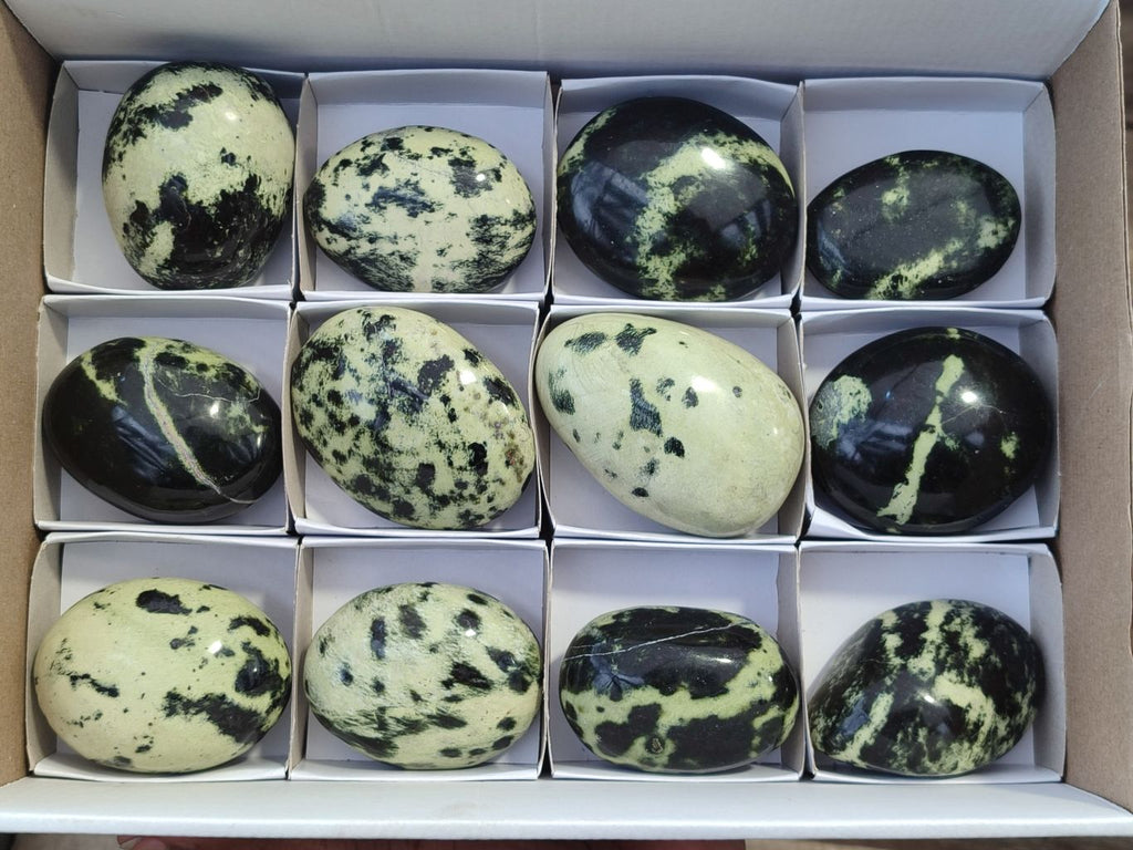 Polished Leopard Stone Galet / Palm Stones x 12 From Zimbabwe - Toprock Gemstones and Minerals 