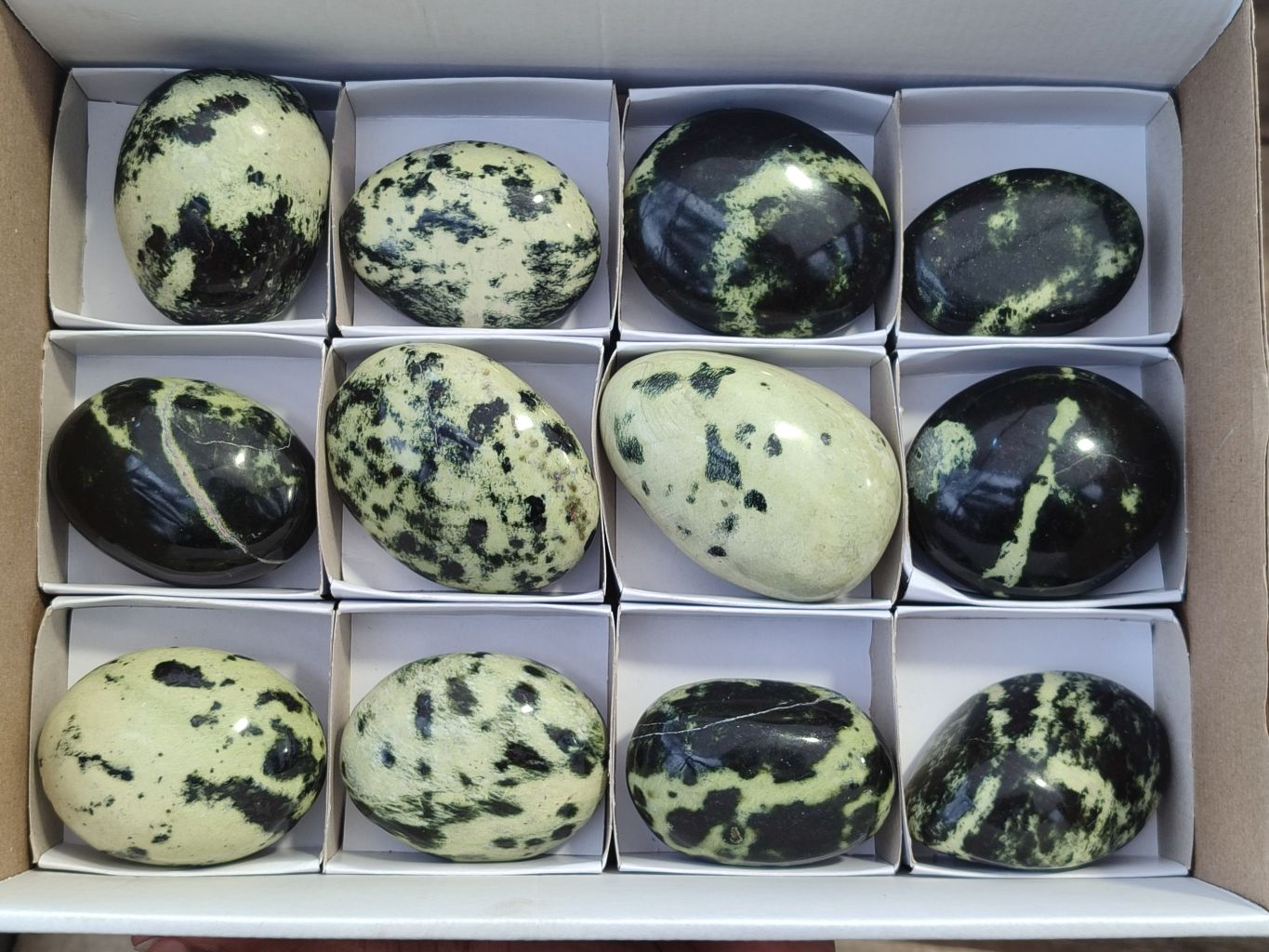 Polished Leopard Stone Galet / Palm Stones x 12 From Zimbabwe - Toprock Gemstones and Minerals 
