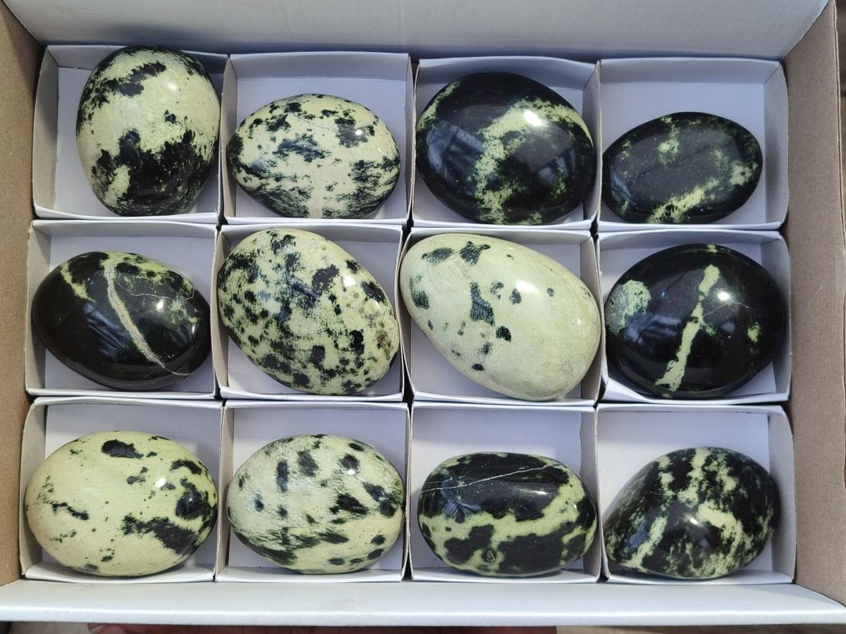 Polished Leopard Stone Galet / Palm Stones x 12 From Zimbabwe - Toprock Gemstones and Minerals 