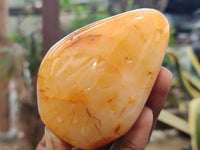 Polished Carnelian Standing Free Forms x 5 From Madagascar - Toprock Gemstones and Minerals 