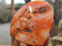 Polished Carnelian Standing Free Forms x 5 From Madagascar - Toprock Gemstones and Minerals 
