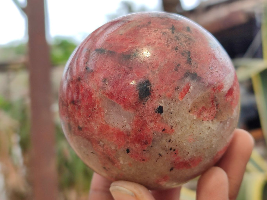 Polished Rhodonite Spheres x 2 From Zimbabwe - Toprock Gemstones and Minerals 