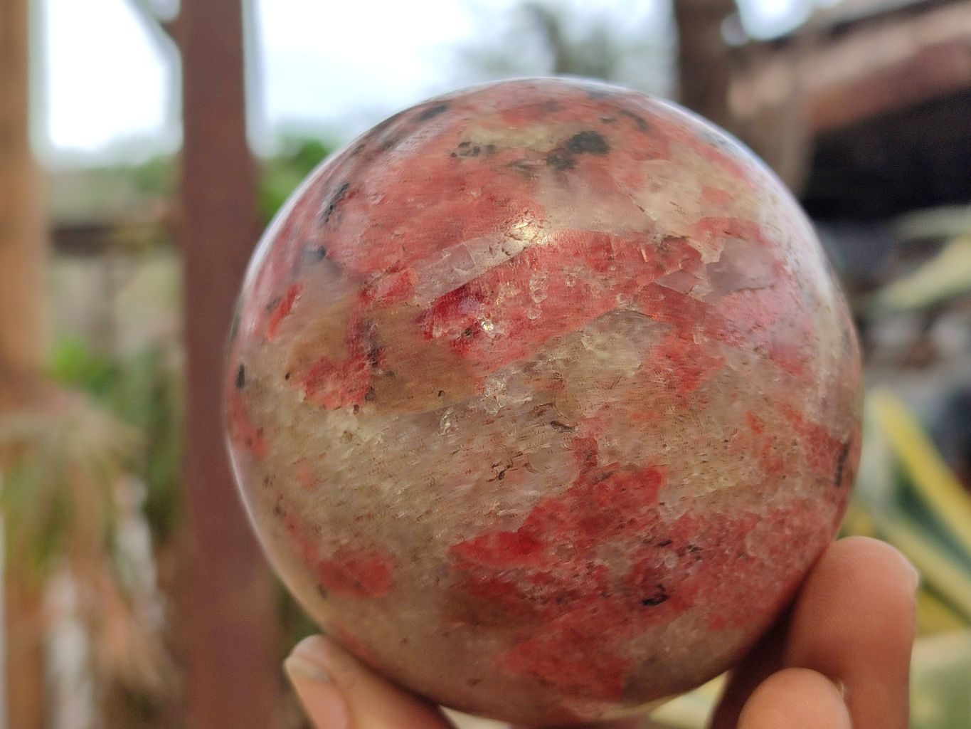Polished Rhodonite Spheres x 2 From Zimbabwe - Toprock Gemstones and Minerals 