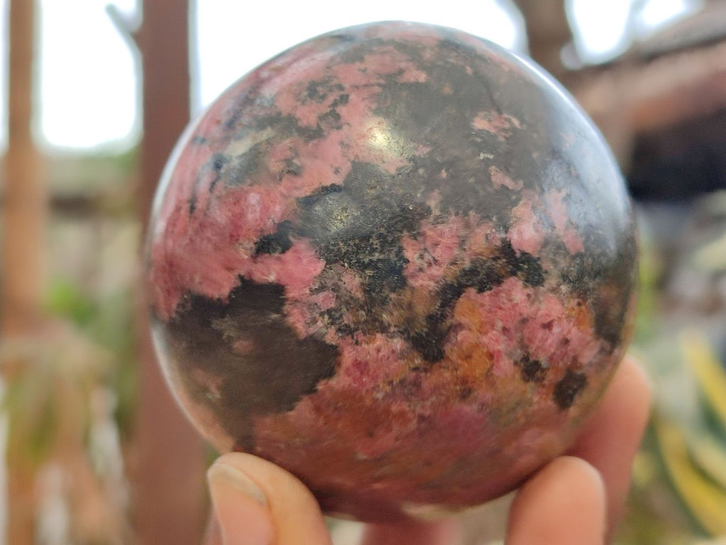 Polished Rhodonite Spheres x 2 From Zimbabwe - Toprock Gemstones and Minerals 