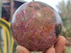 Polished Rhodonite Spheres x 2 From Zimbabwe - Toprock Gemstones and Minerals 