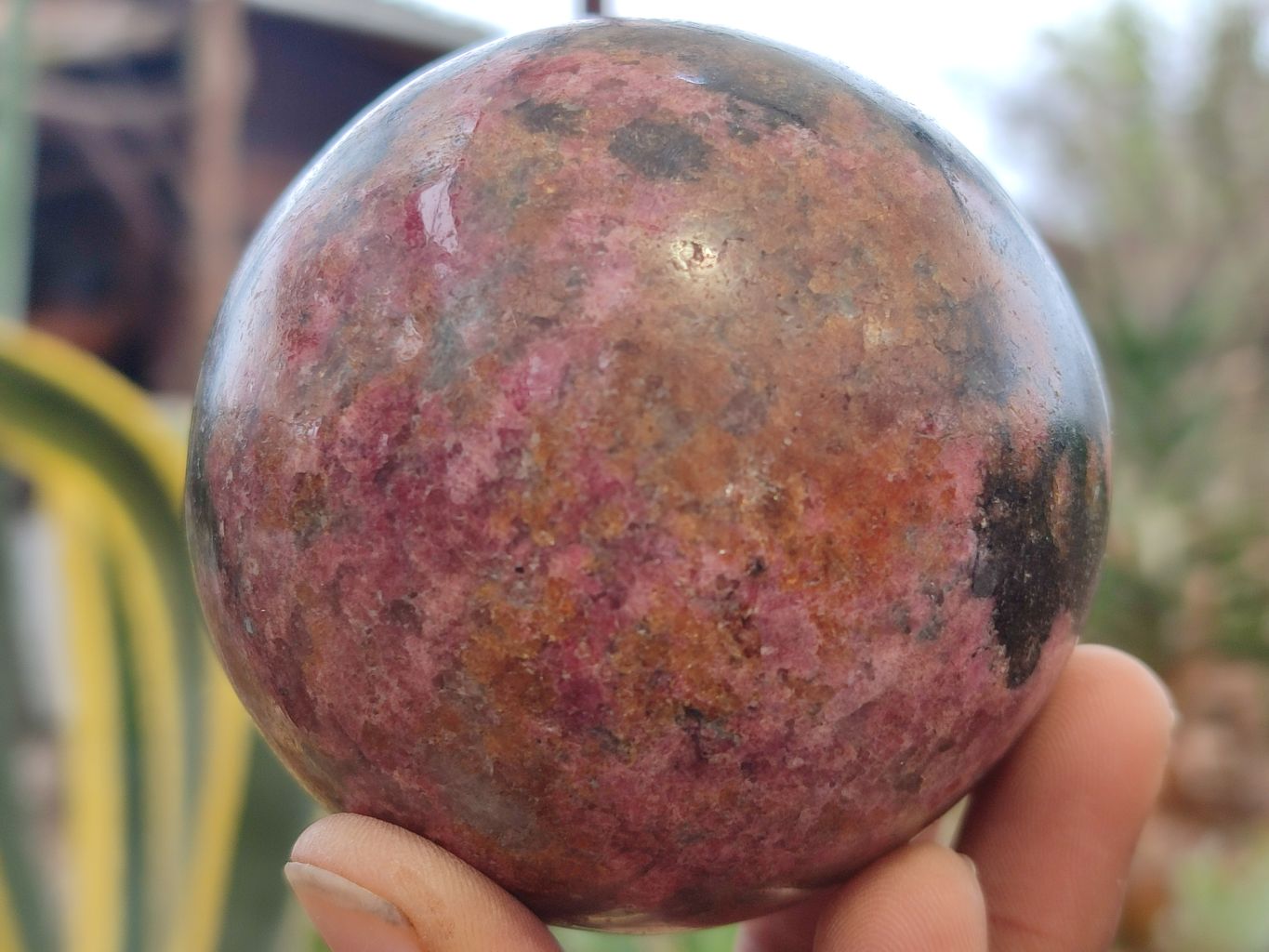 Polished Rhodonite Spheres x 2 From Zimbabwe - Toprock Gemstones and Minerals 