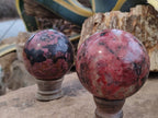 Polished Rhodonite Spheres x 2 From Zimbabwe - Toprock Gemstones and Minerals 