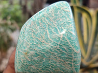 Polished Amazonite Free Forms x 6 From Zimbabwe