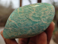 Polished Amazonite Free Forms x 6 From Zimbabwe