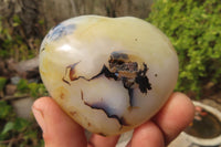 Polished Banded Agate Hearts x 7 From Madagascar