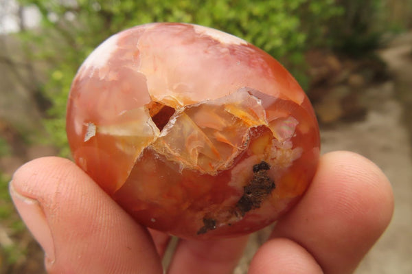 Polished Ocean Flower Agate Galet / Palm Stones x 21 From Madagascar - Toprock Gemstones and Minerals 