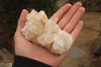 Natural Mixed Quartz Clusters x 4 From Madagascar - Toprock Gemstones and Minerals 