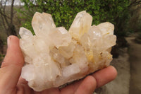 Natural Mixed Quartz Clusters x 4 From Madagascar - Toprock Gemstones and Minerals 