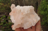 Natural Mixed Quartz Clusters x 4 From Madagascar - Toprock Gemstones and Minerals 