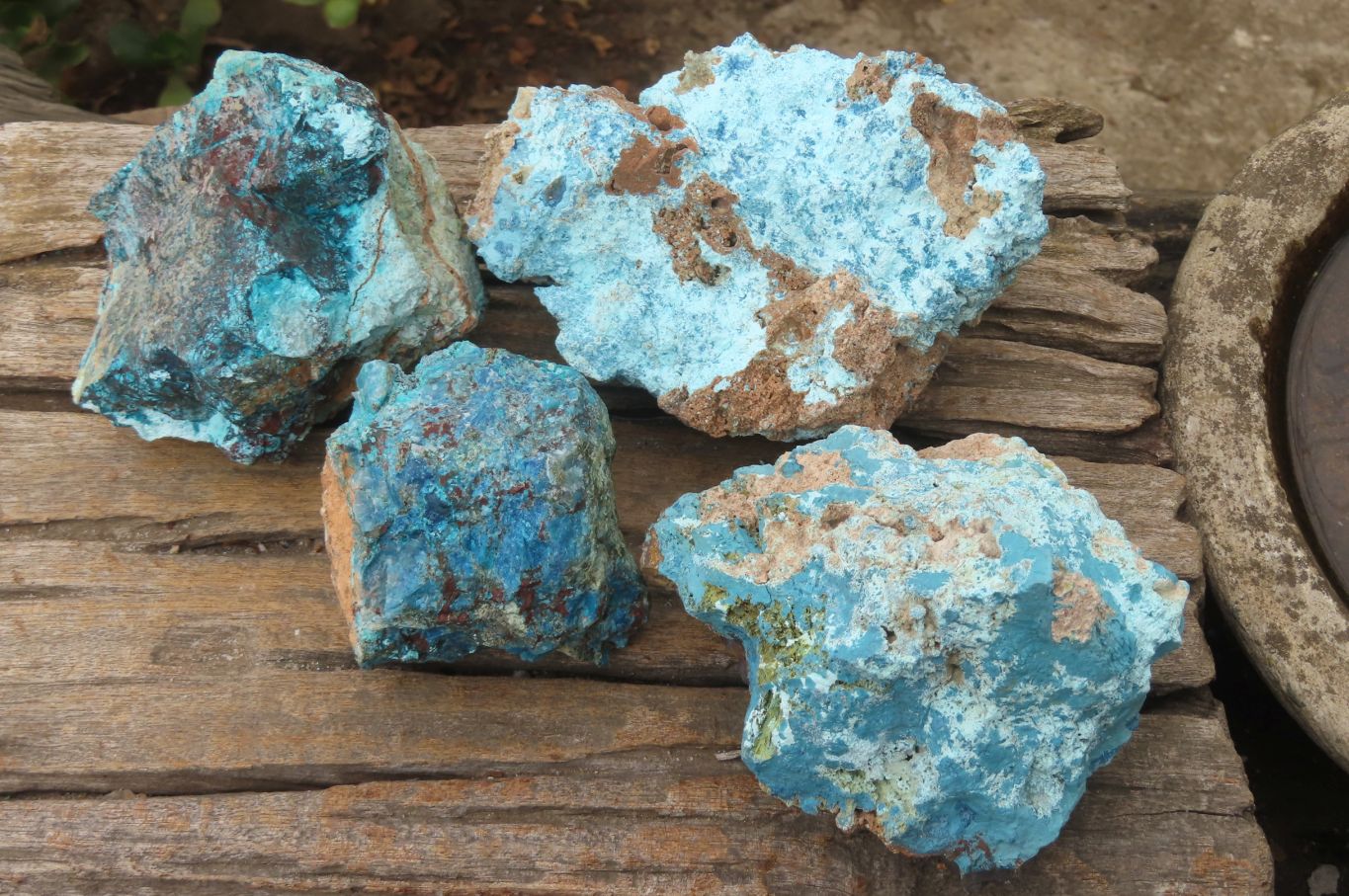 Natural Shattuckite Dolomite Specimens x 4 From Namibia - Toprock Gemstones and Minerals 