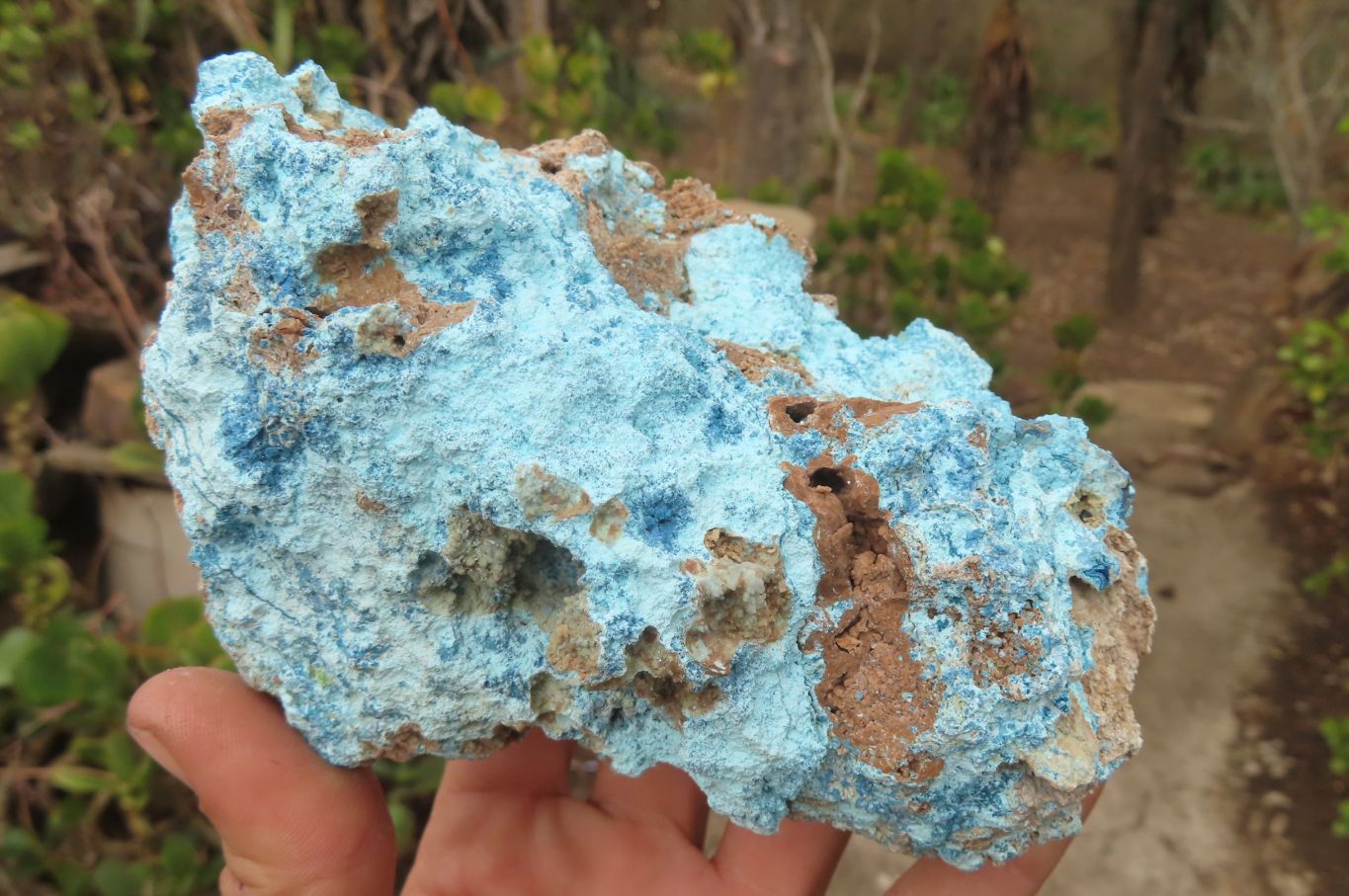 Natural Shattuckite Dolomite Specimens x 4 From Namibia - Toprock Gemstones and Minerals 