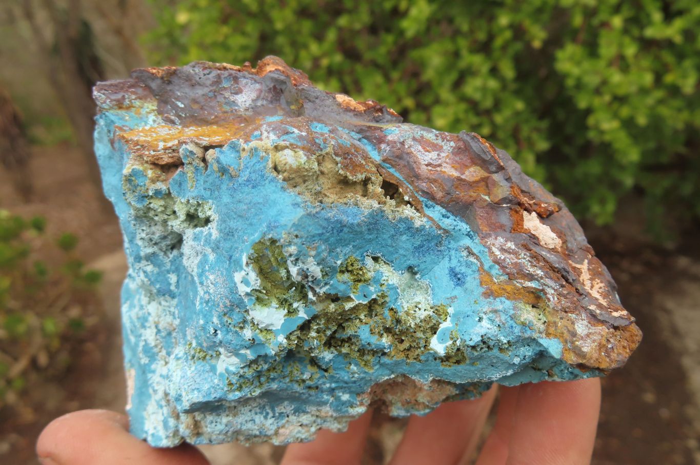 Natural Shattuckite Dolomite Specimens x 4 From Namibia - Toprock Gemstones and Minerals 